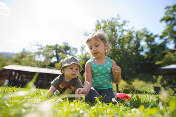 Sister and Brother Playing in Grass