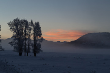 Morning winter light in Lamar Valley, Yellowstone. 