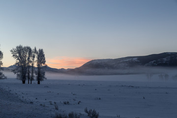 Morning winter light in Lamar Valley, Yellowstone. 