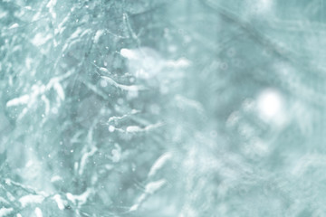 Winter forest blurred background snow landscape