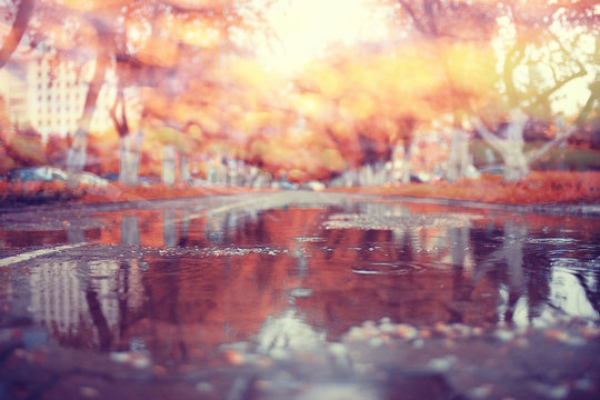 blurred background bokeh Orange autumn park