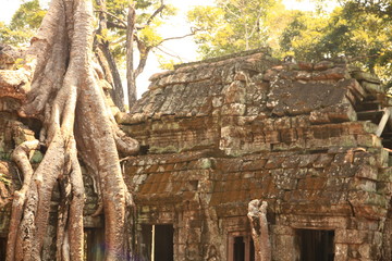 Naklejka premium Ta Prohm Temple, Cambodia
