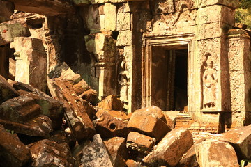 Ta Prohm Temple, Cambodia