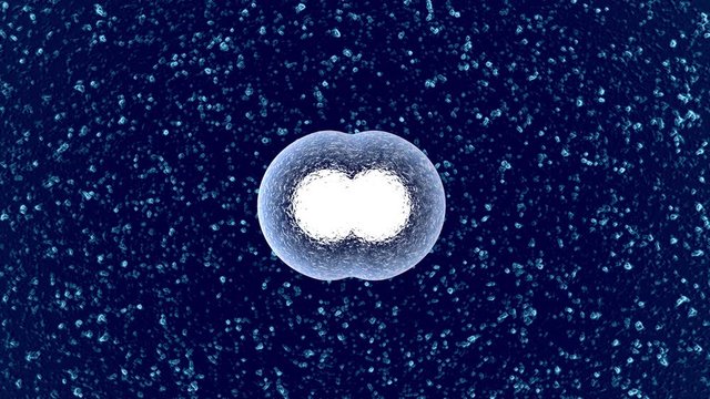 3D rendered Animation of the Mitosis and replication of a generic biological Cell.
