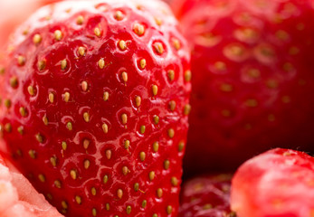 Close up of Strawberry N - 141498493