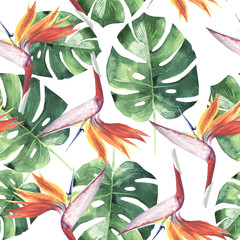 Fototapety  Tropikalne Hawaje pozostawia wzór drzewa palmowego w stylu przypominającym akwarele na białym tle.