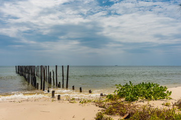 2 rows of wooden posts go out in to a calm paradise sea off of a beautiful beach.