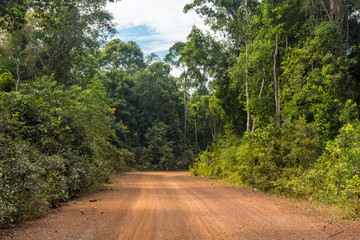 Fototapeta na wymiar A red sand dirt road cut through a dense forest in Cambodia, South East Asia.