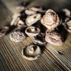dried mushroom