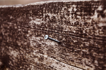 screw in the wooden board