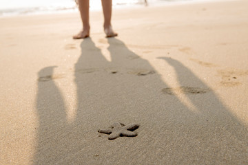 background starfish on the sand