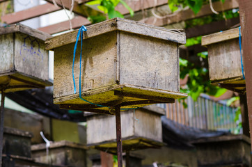 Fototapeta na wymiar Bee wooden house in garden