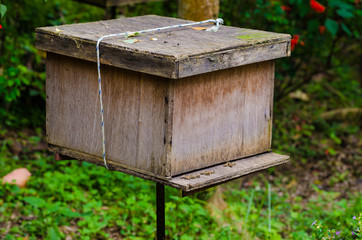 Bee wooden house in garden