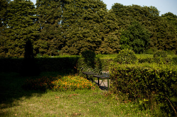 Fototapeta na wymiar An empty bench in the park