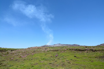 阿蘇山とツツジ