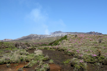 阿蘇山とツツジ