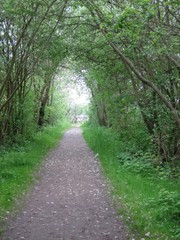 Naklejka premium Allee im Frühling