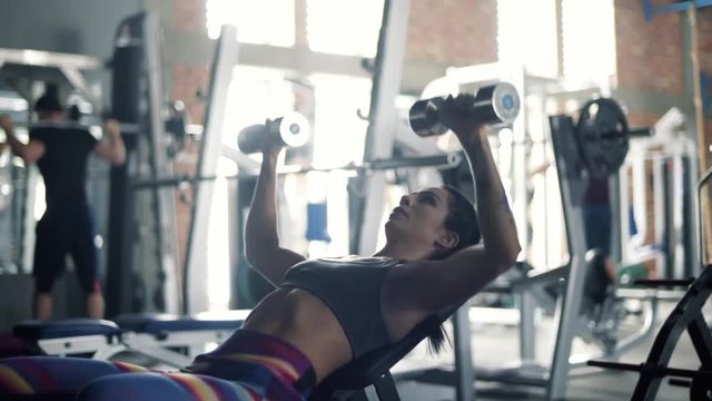 Young adult woman lifting weights in gymnasium