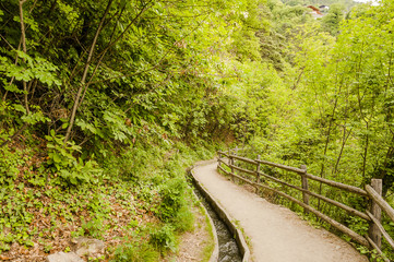 Algund, Algunder Waalweg, Waalweg, Wanderweg, Spazierweg, Wald, Waldweg, Frühling, Frühlingswanderung, Vinschgau, Südtirol, Italien