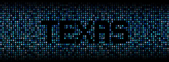 Texas text on hex code illustration