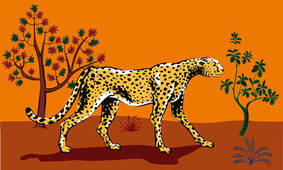 Cheetah looking for a prey in the African savannah.