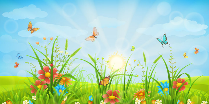 Green meadow background with grass, red flowers and butterflies