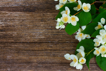 Jasmine fresh flowers and leaves border on textured wooden background