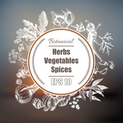 Vector background - spices, herbs, vegetables.