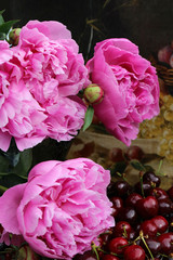 pink peonies, dutch painting background, delft blue