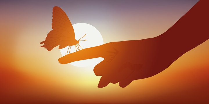 papillon - main - douceur - beaut&eacute; - coucher de soleil
