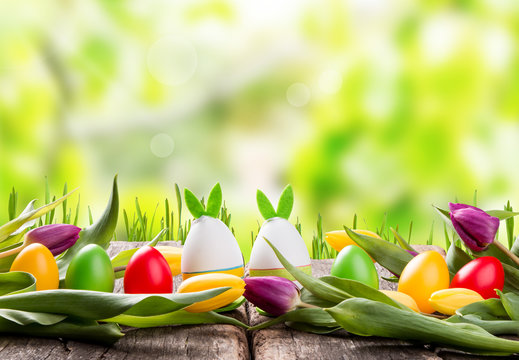 Easter eggs on wooden background. Spring concept on plank. Color mix eggs with nature decoration. 