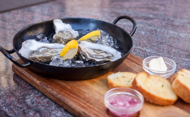 fresh opened oysters