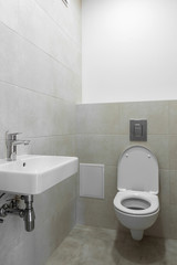 toilet in the bathroom
