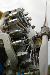 Radial engine detail with metal propeller