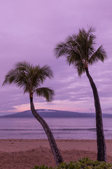 Maui Beach Sunsrise