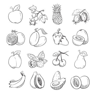Hand drawing doodle fruits vector illustration for fruit packaging