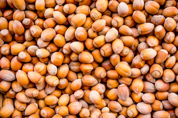 hazelnuts background. Background from wood nuts