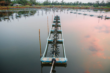 Aerator in white shrimp pond