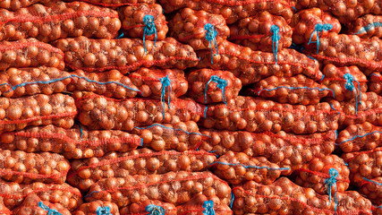 Onions background. Fresh onion