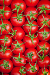 red tomatoes background. Group of tomatoes.tomato