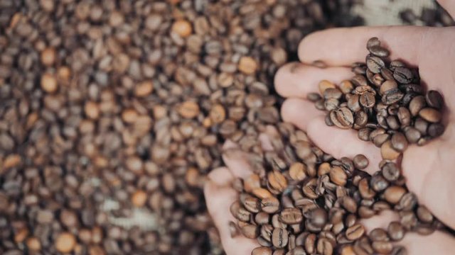 Conceptual clip of coffee beans, slow motion.