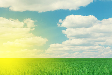 Green grass field, blue sky with clouds