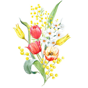 Watercolor Mimosa And Tulip Bouquet