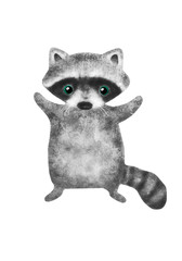 raccoon © Evgeniya