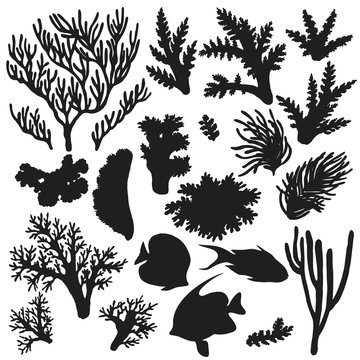 Reef Animals and Corals Silhouette Set