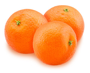 Mandarin orange fruit three