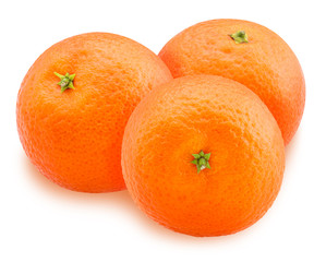 Mandarin orange fruit three