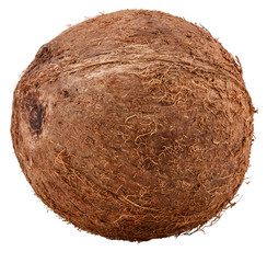 coconut Isolated on white background