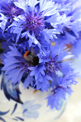 Cornflowers In Delft blue vase with bee