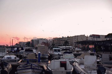 picturesque sunset with yachts at the pier on the coast